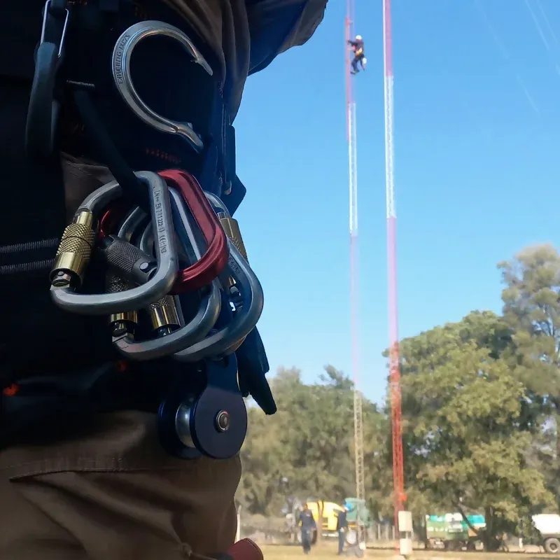 Esperando la acción